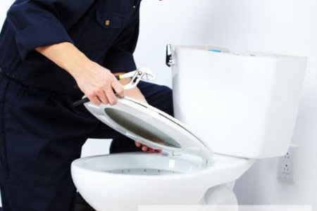 Dpannage sur Sanibroyeur, Mcanisme wc
